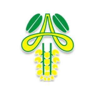 Amaltas Special School Logo